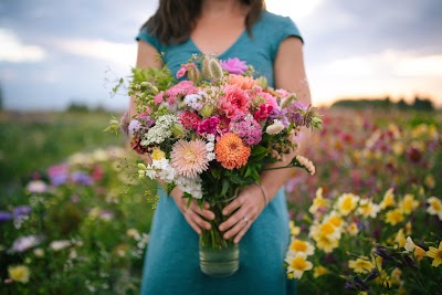 Calliope Flowers