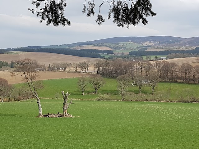 Craigievar Castle