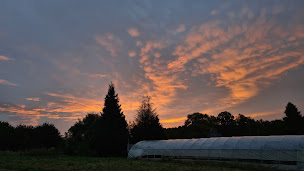 Photo n°9 de Natorel à Faux-la-Montagne (Camping avec cabanes)