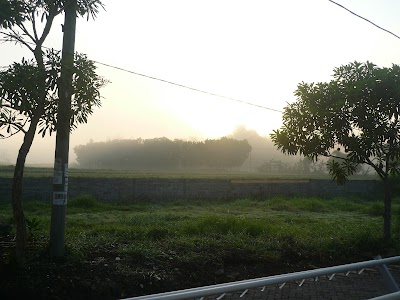 Photos of Service Kamera Jember