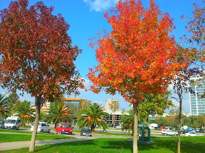 Photos of Kartal Sahil