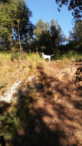 Parc de la Riera de Can Via - Thumbnail