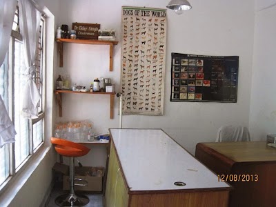 Photos of Divine Veterinary Clinic