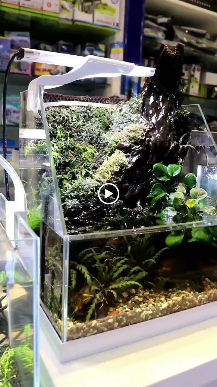 Aquascape.ae - صورة 2