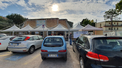 Palasport colle Dall'Ara - Thumbnail