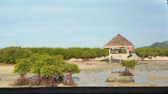 Buntod Reef Marine Sanctuary
