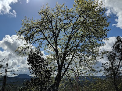 Wild Iris Ridge Park