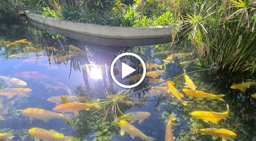 Photo de ARRODEL à Gattières (06510)