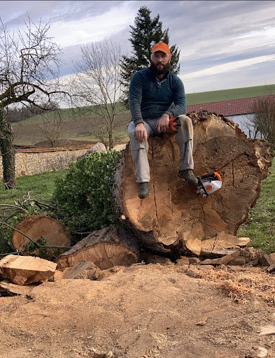 Photo de VENDIRIS - Aménagement Extérieur et Pisciniste à Saints-Geosmes (52200)