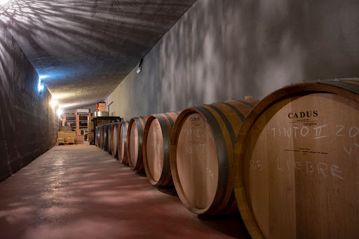 Bodega Conde de SUYROT