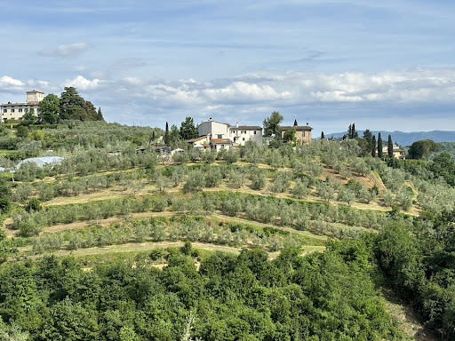 We Like Tuscany Tour Operator - Thumbnail