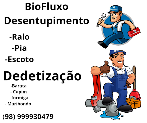 Fluxo Desentupimento