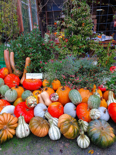 Mon Marché Bio - Thumbnail
