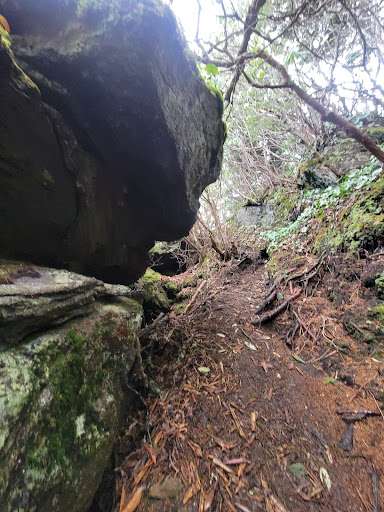 Woody Ridge Trailhead - Thumbnail