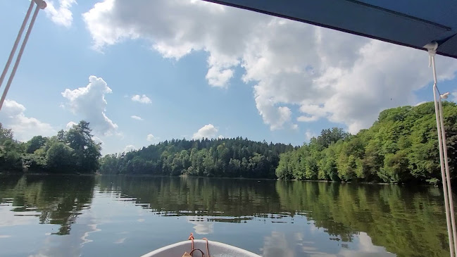 Pujčovna lodí a šlapadel pastviny