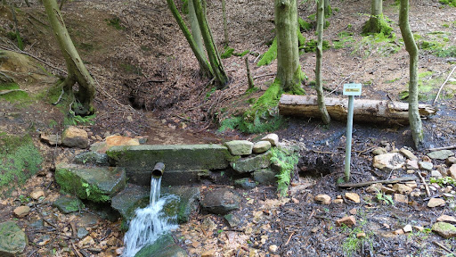 Mittbach Quelle