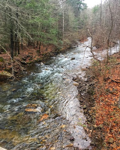 Wild Oak Trail