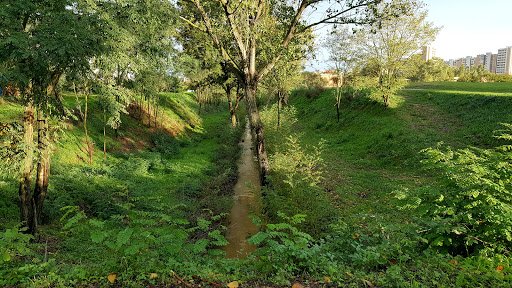 Parco Oasi Verde "Susetta Guerrini" - Thumbnail