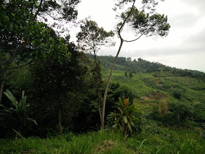 Photos of villa hijau gunung batu
