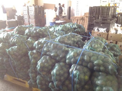 Photos of AVO FRESH