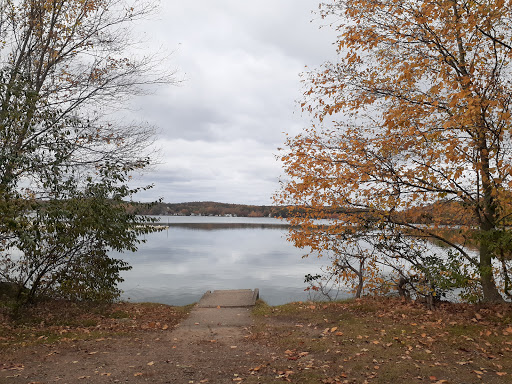 Sears Park - Visual