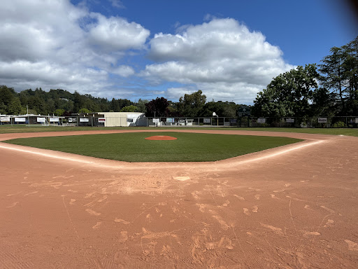 AAA Field - Visual