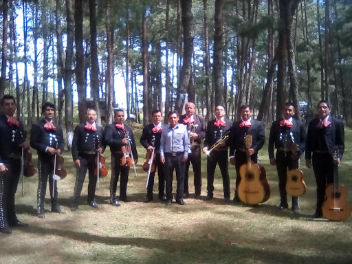 MARIACHI "VOCES DE MI TIERRA"