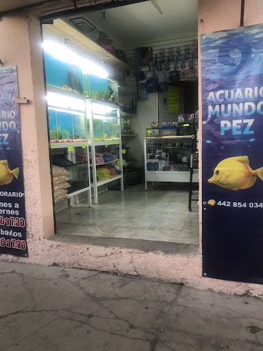 Acuario Mundo Pez Belen