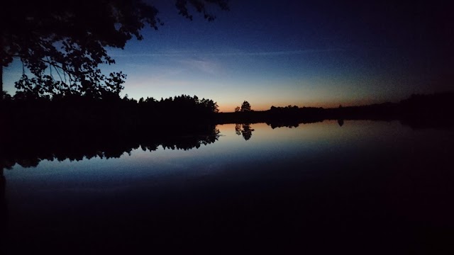 Rastplats Orranäsasjön