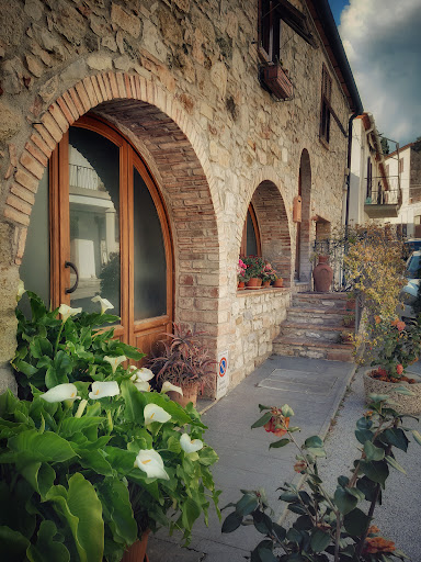 Montecerboli Gallery - Italy
