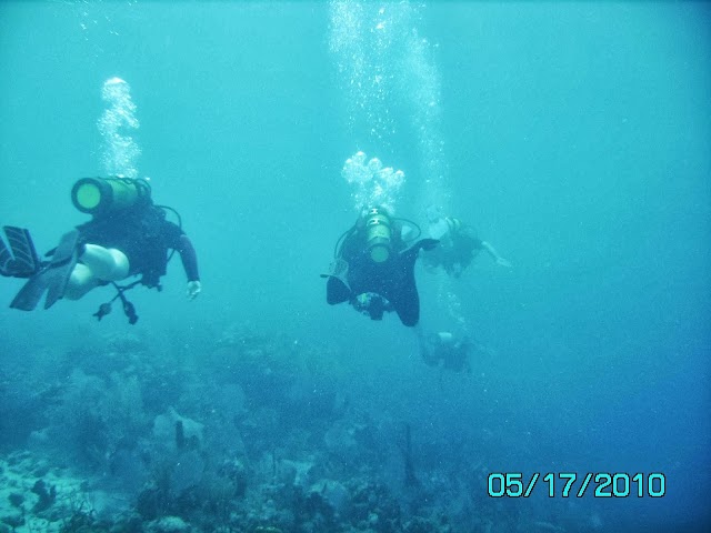 Divin Dawgs Scuba