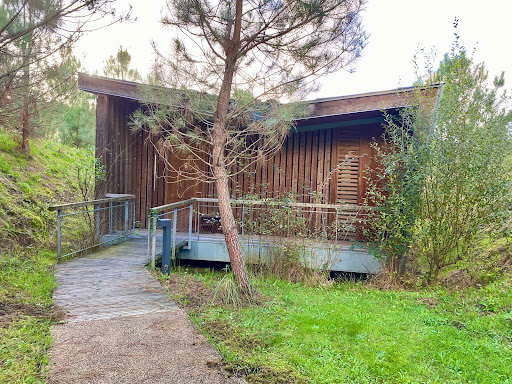 Photo de Les échasses à Saubion (40230)