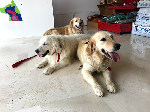 Clínica Veterinaria Domesticos y Exóticos Peludets