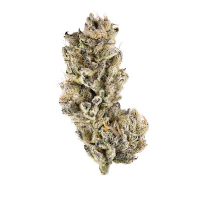 Photo of Can Deliver NY