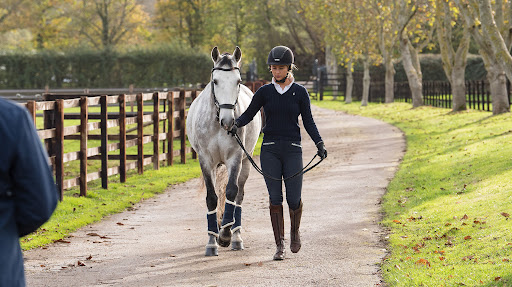 The College of Saddle Fitting - Thumbnail
