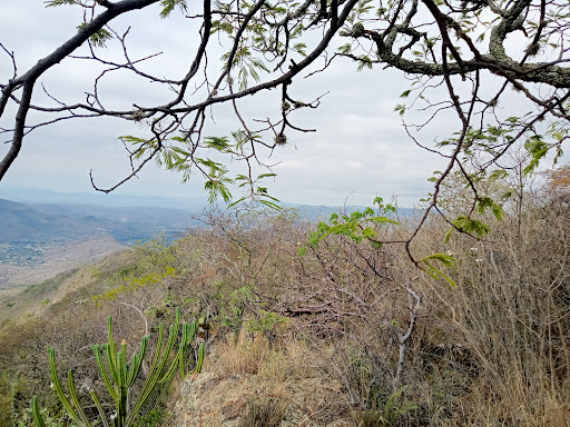 Cerro El Yudani - Thumbnail