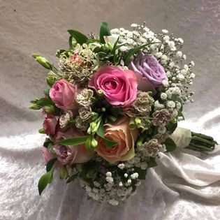 Blumen Keller - Visual
