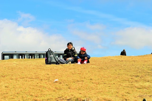 Snowdon