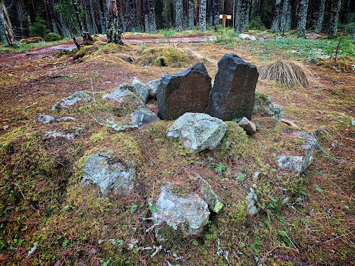 Hällsbospåret lighted ski trails
