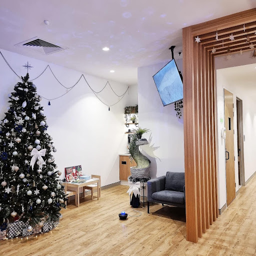 Dentists In Annerley - Thumbnail
