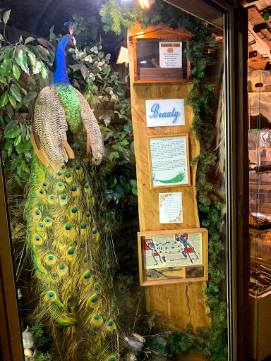 Taxidermy Hall Fame of NC - Thumbnail