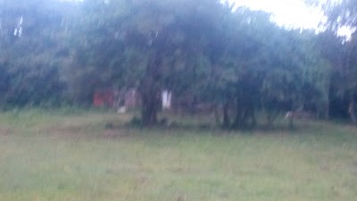 Photos of Kipkaren River Resort