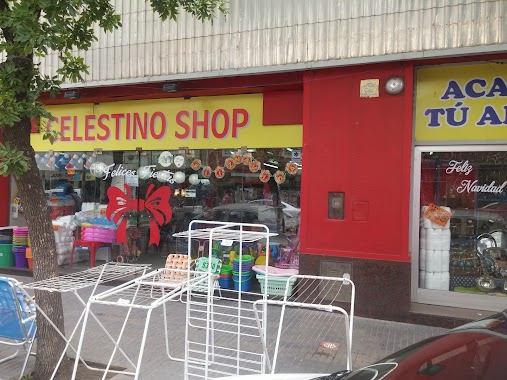 Celestino Shop, Author: Alan Miraglia