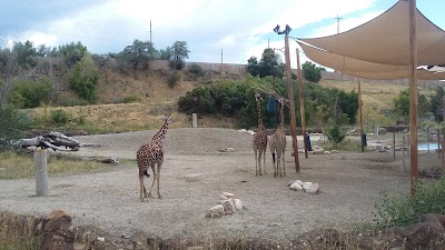 Lighthouse Point Splash Zone at Hogle Zoo