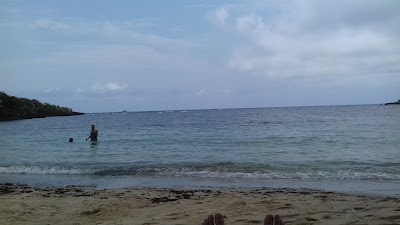 Photos of Island Diving Center & Scuba School