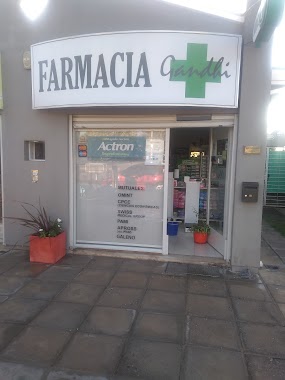 Farmacia Gandhi, Author: Farmacia Gandhi