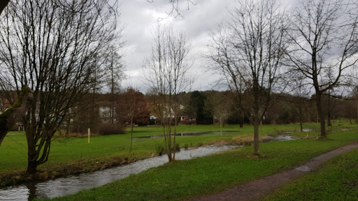 Evangelische Kirchengemeinde Fischbach - Thumbnail