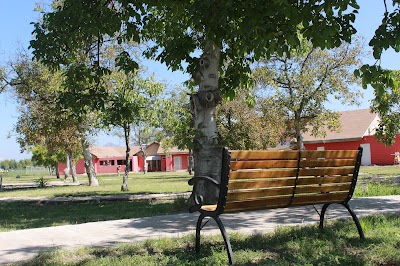 Photos of Agora Centro para el Adulto Mayor