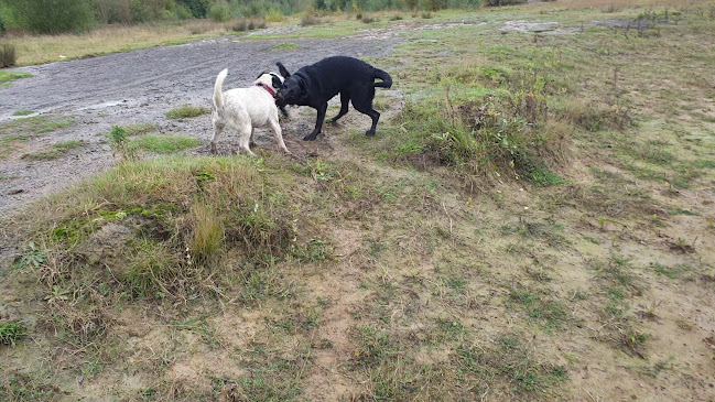 Bentley Community Woodland Pit Lake Open Times