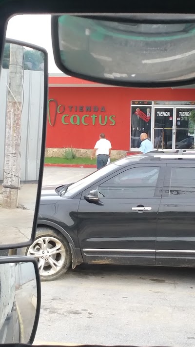 Photos of Tienda Cactus